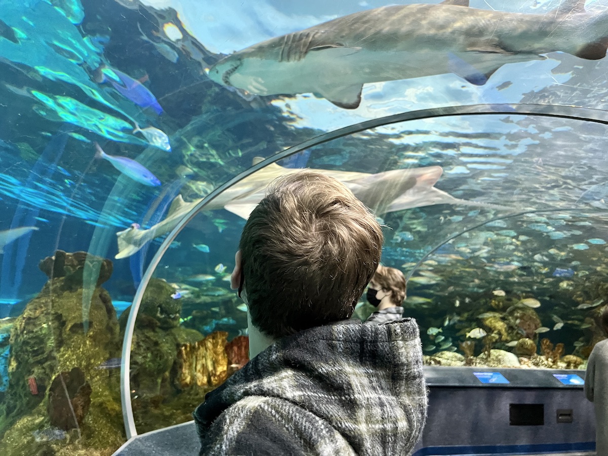 Ripleys Aquarium Toronto