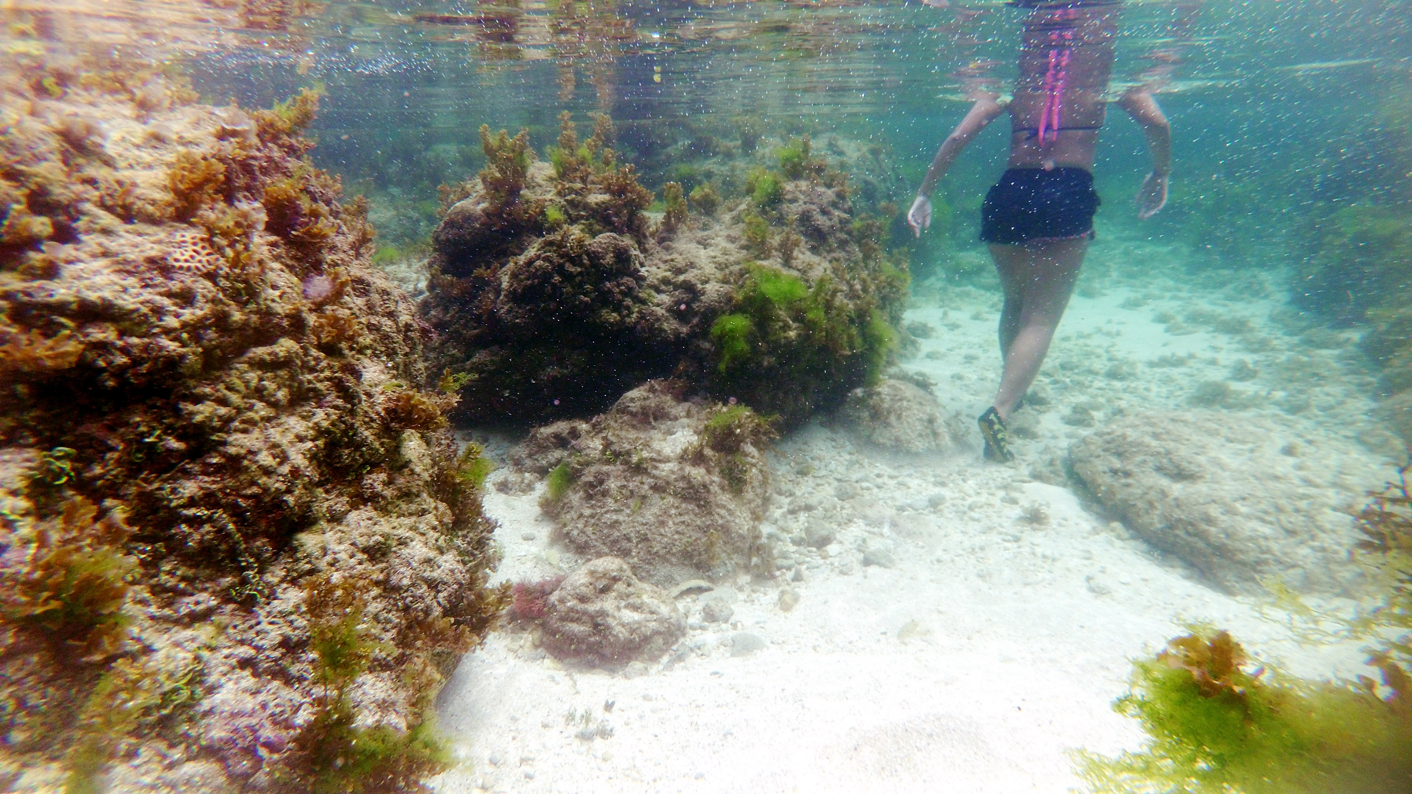 Ocean aquarium of Magpupungko rock pools & tidal flats, Siargao